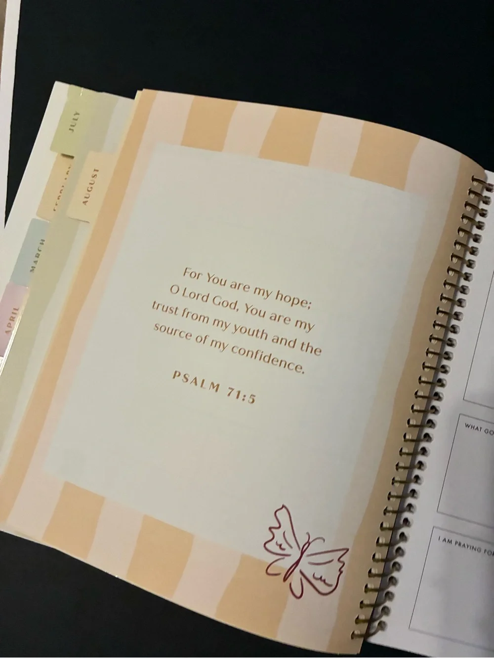 2026 Dare to Believe planner